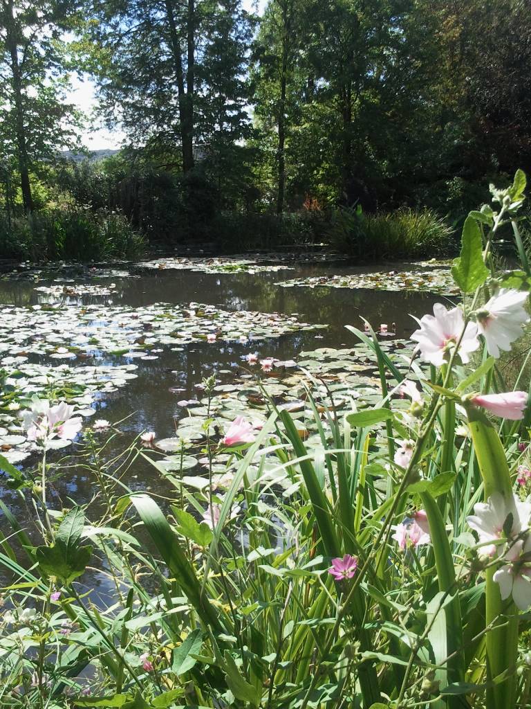 Giverny, Monet's house: 2011-08-16 15